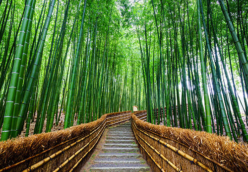 Japan travel insurance Japan travel insurance