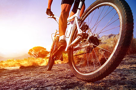 Travel Insurance for Mountain biking