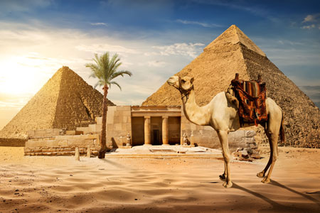 Travel insurance quote
